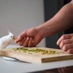 What Do Parrots Eat?