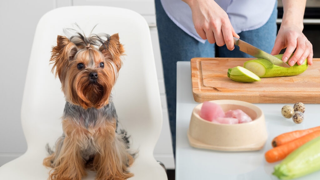 zucchini crisps for dogs recipe: dog sitting next to zucchini in kitchen