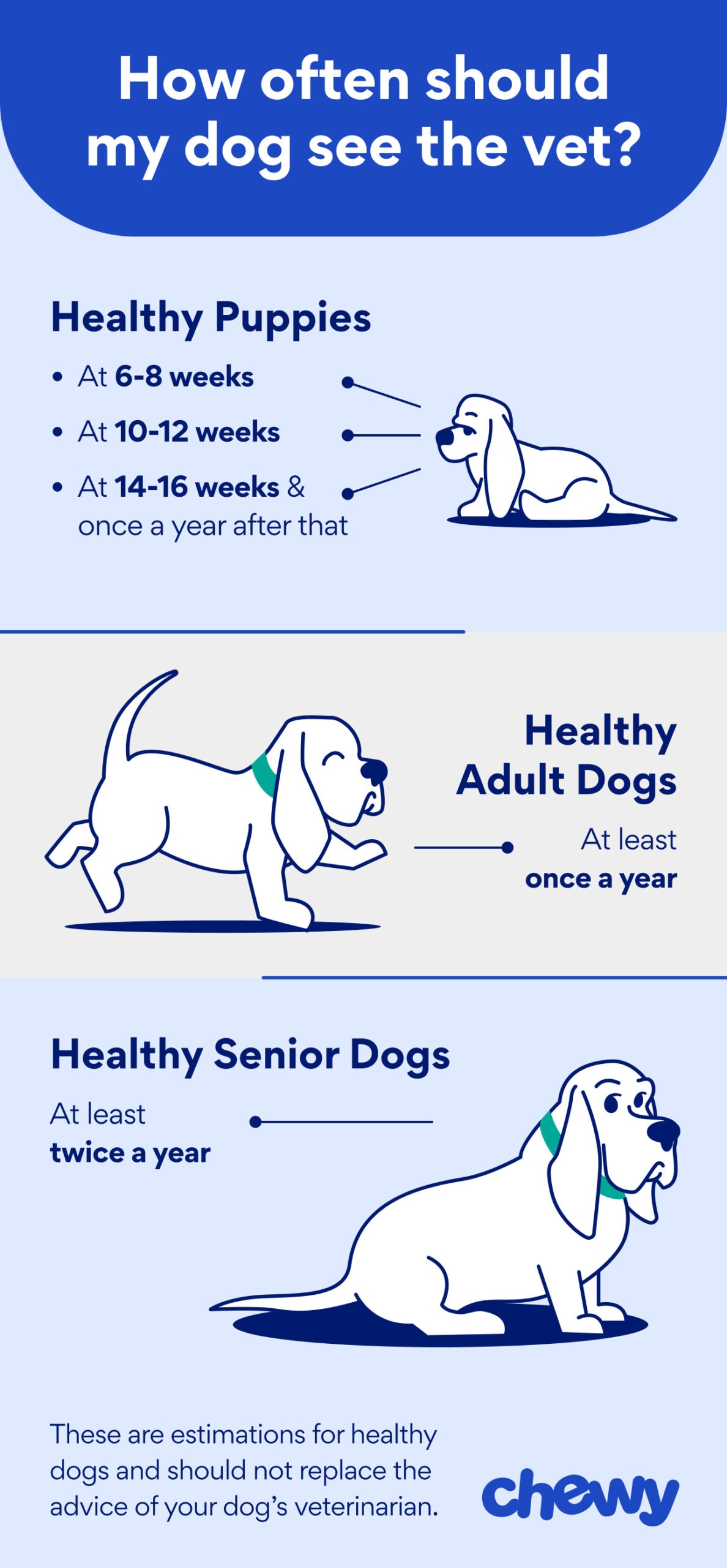 How Often Should My Dog See the Vet? Healthy Puppies: at 6-8 weeks; 10-12 weeks; 14-16; and once per year after that. Healthy adult dogs: at least once a year. Healthy senior dogs: at least twice a year