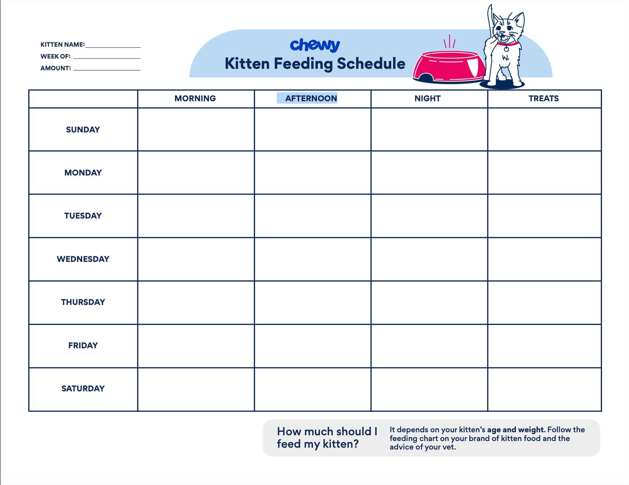 Kitten Feeding Schedule