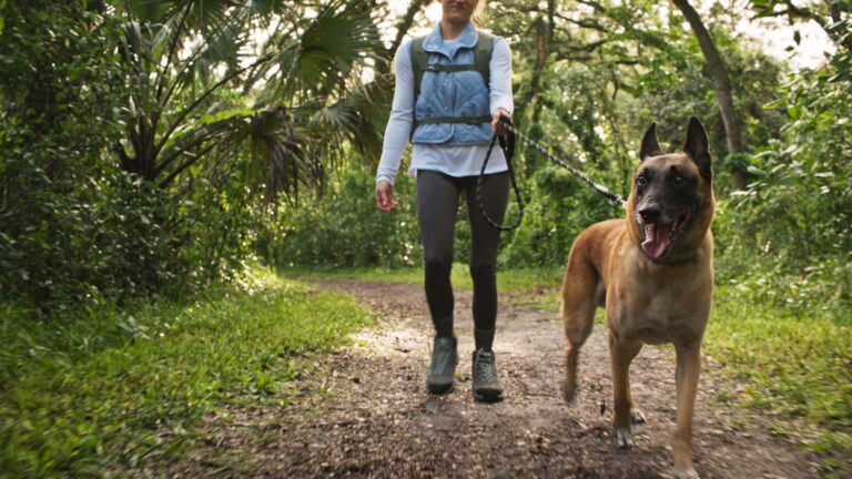 A hiker walking with their dog on a trail