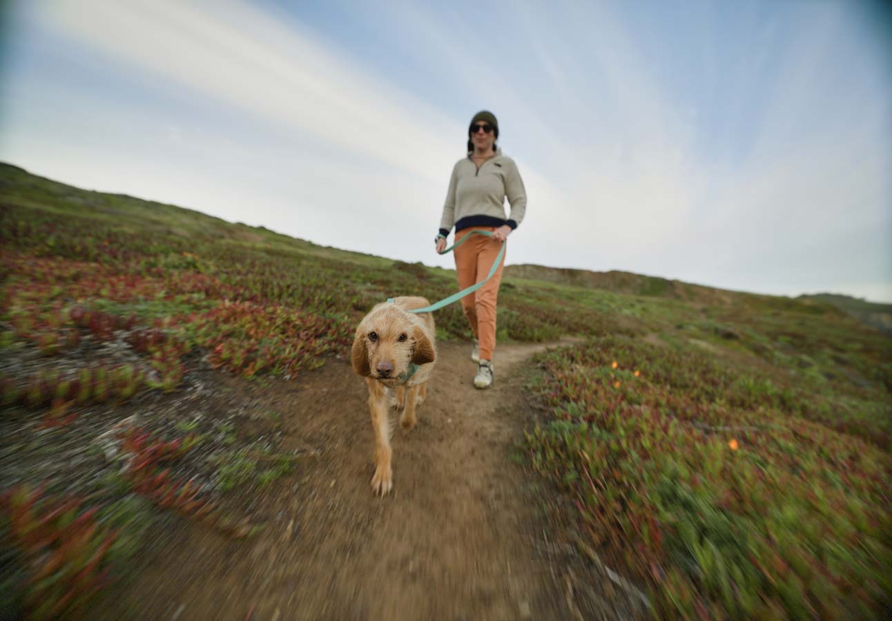 A hiker and her dog on a dog-friendly hiking trail