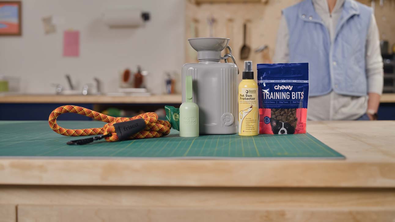 Dog hiking gear, including a leash, water bottle, poop bags, sunscreen, and dog training treats
