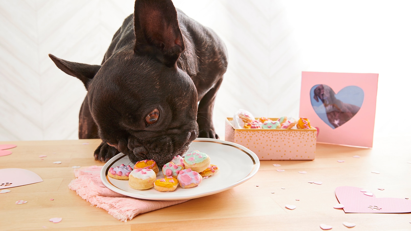 valentines day dog treat
