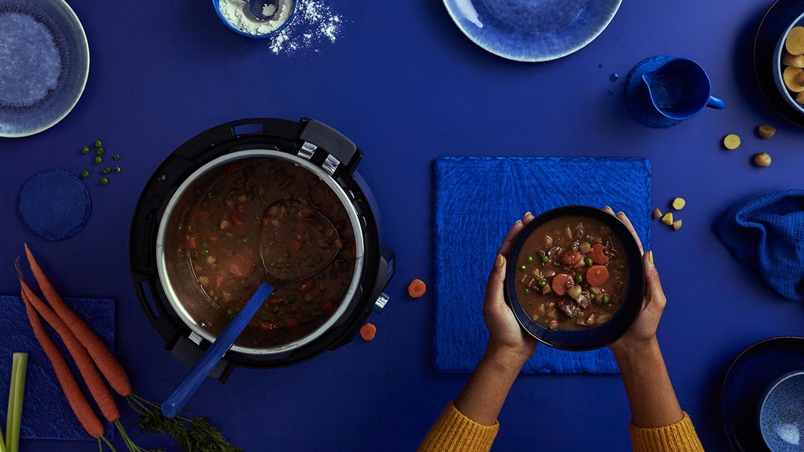 dog-friendly stew