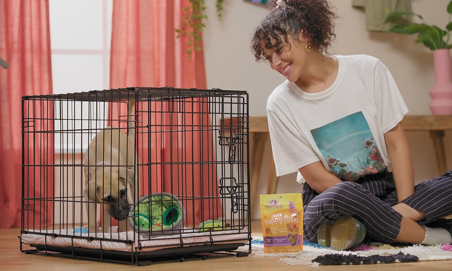 A woman sitting beside her puppy in a dog crate