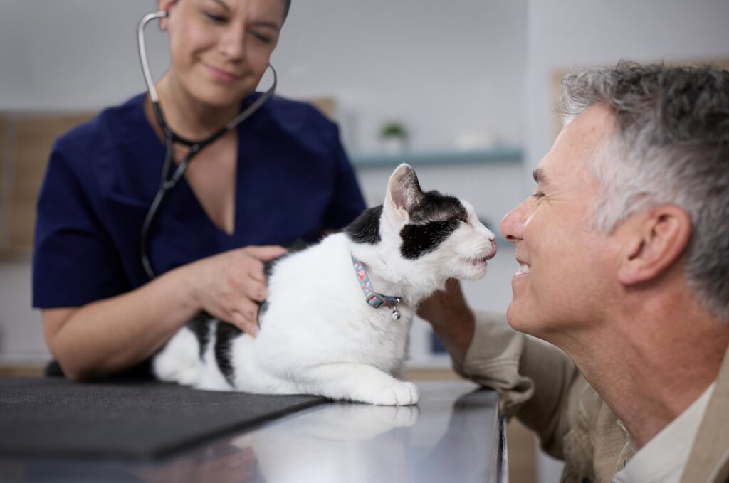 A black and white cat on an examining table sticks her tongue out by her pet parent’s nose as he leans down to pet her.