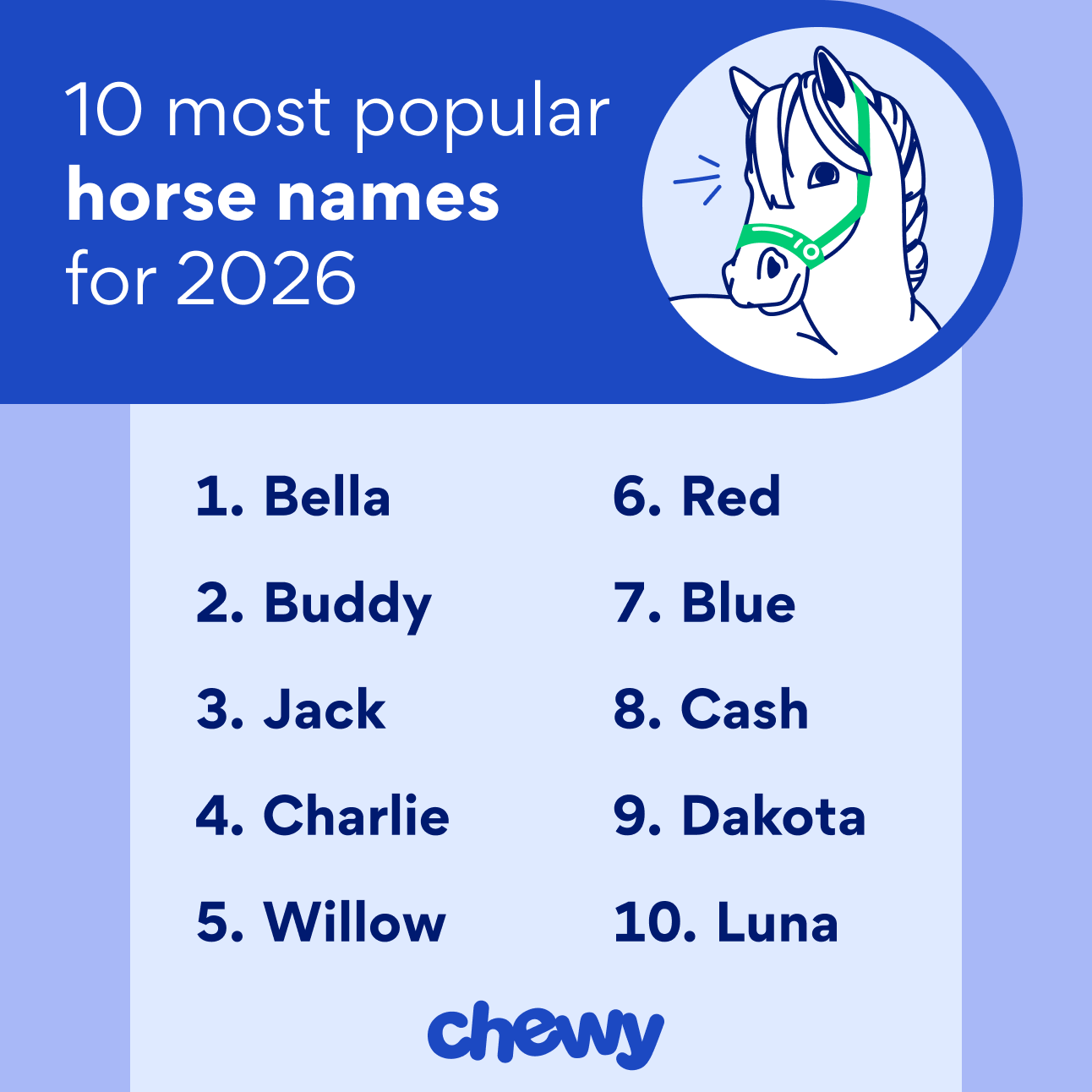 10 most popular horse names for 2026: Bella, Buddy, Jack, Charlie, Willow, Red, Blue, Cash, Dakota, Luna