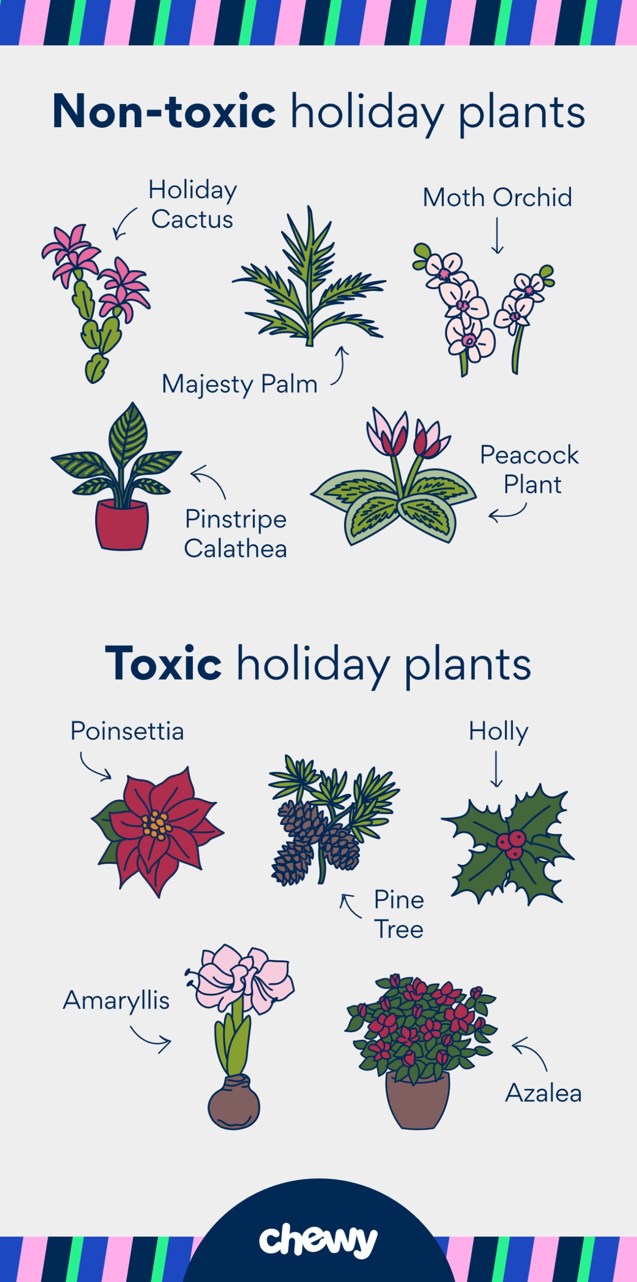 pet safe plants
