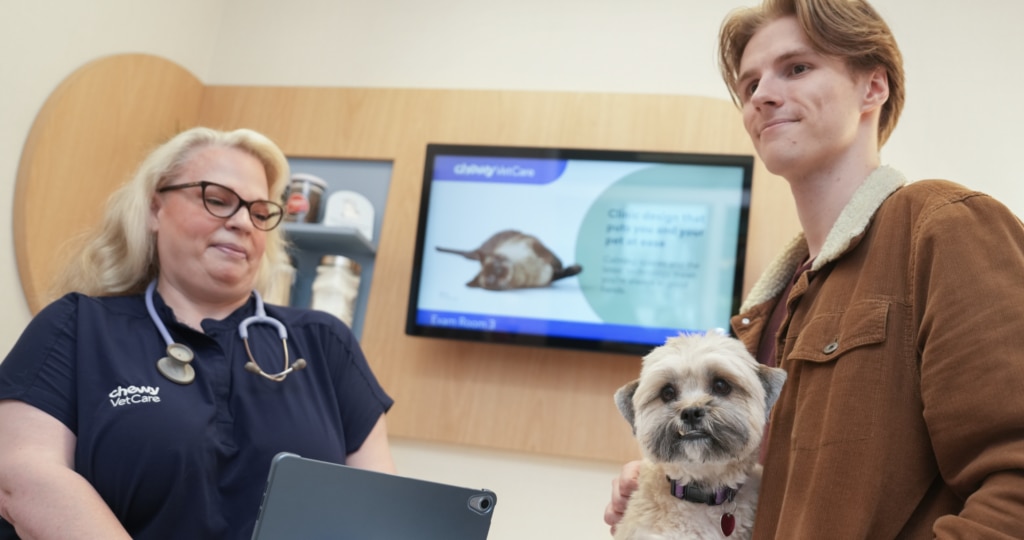 An ivory and gray dog leans against his pet parent while he sits on an exam table at the vet.