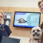 Everything You Need to Know About Rabies Vaccines for Dogs