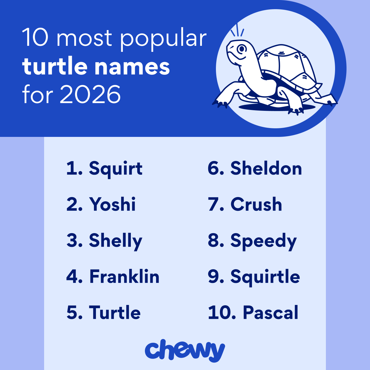 10 most popular turtle names for 2026: Squirt Yoshi Shelly Franklin Turtle Sheldon Crush Speedy Squirtle Pascal