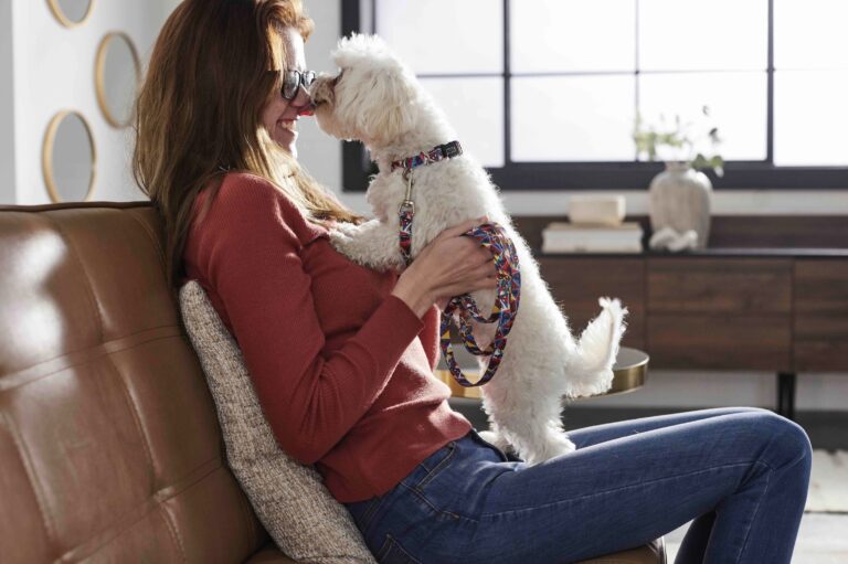 A small white dog sits on her pet parent’s lap and licks her nose.