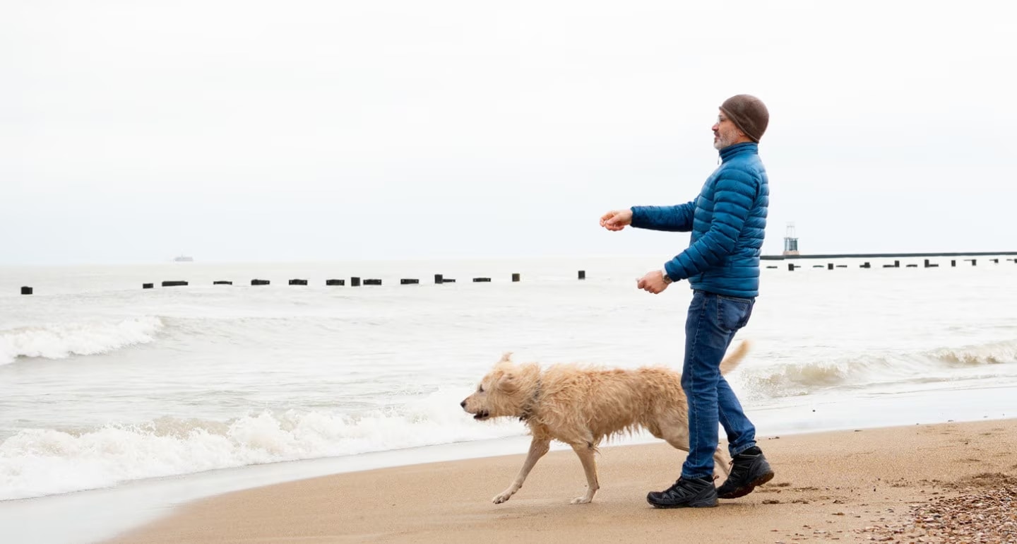 dog activities