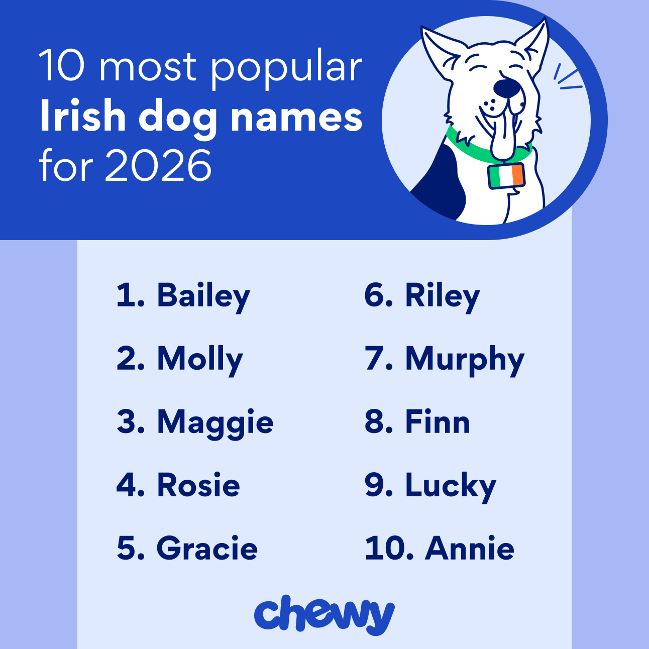 10 most popular Irish dog names for 2026: Bailey, Molly, Maggie, Rosie, Gracie, Riley, Murphy, Finn, Lucky, Annie