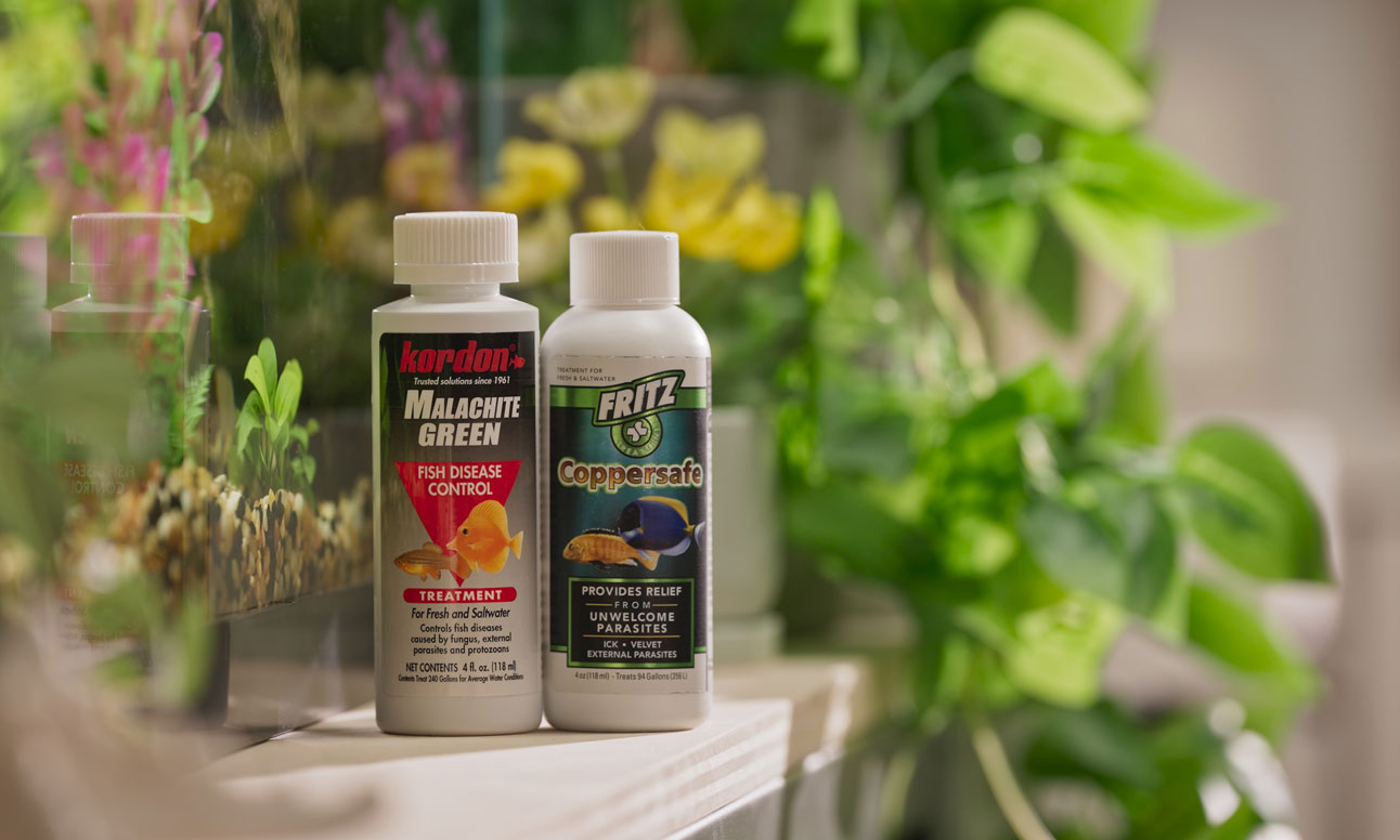 fish ich medications copper sulfate malachite green