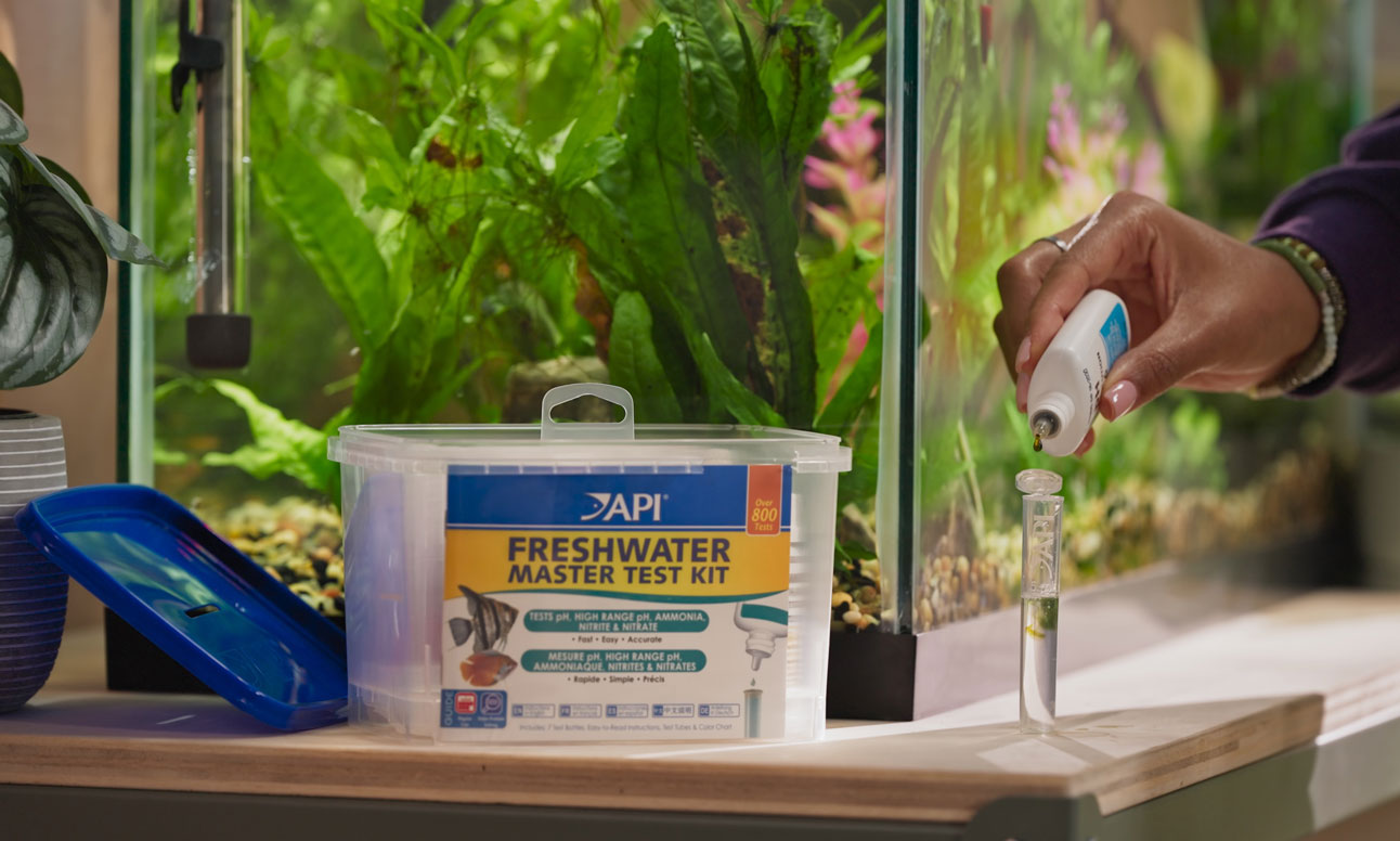 testing fish tank water