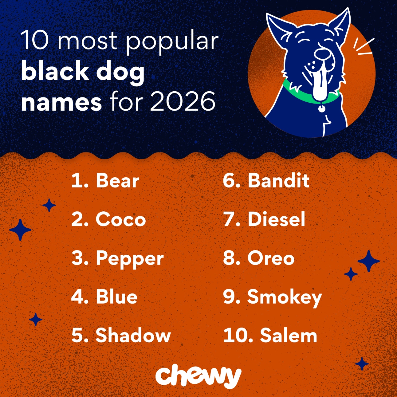 10 most popular black dog names for 2026: Bear, Coco, Pepper, Blue, Shadow, Bandit, Diesel, Oreo, Smokey, Salem