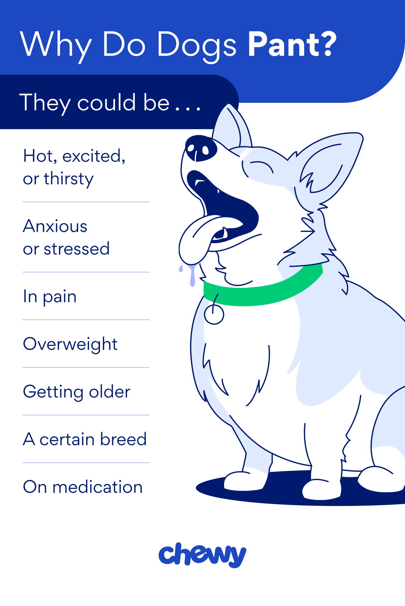 why do dogs pant infographic chewy