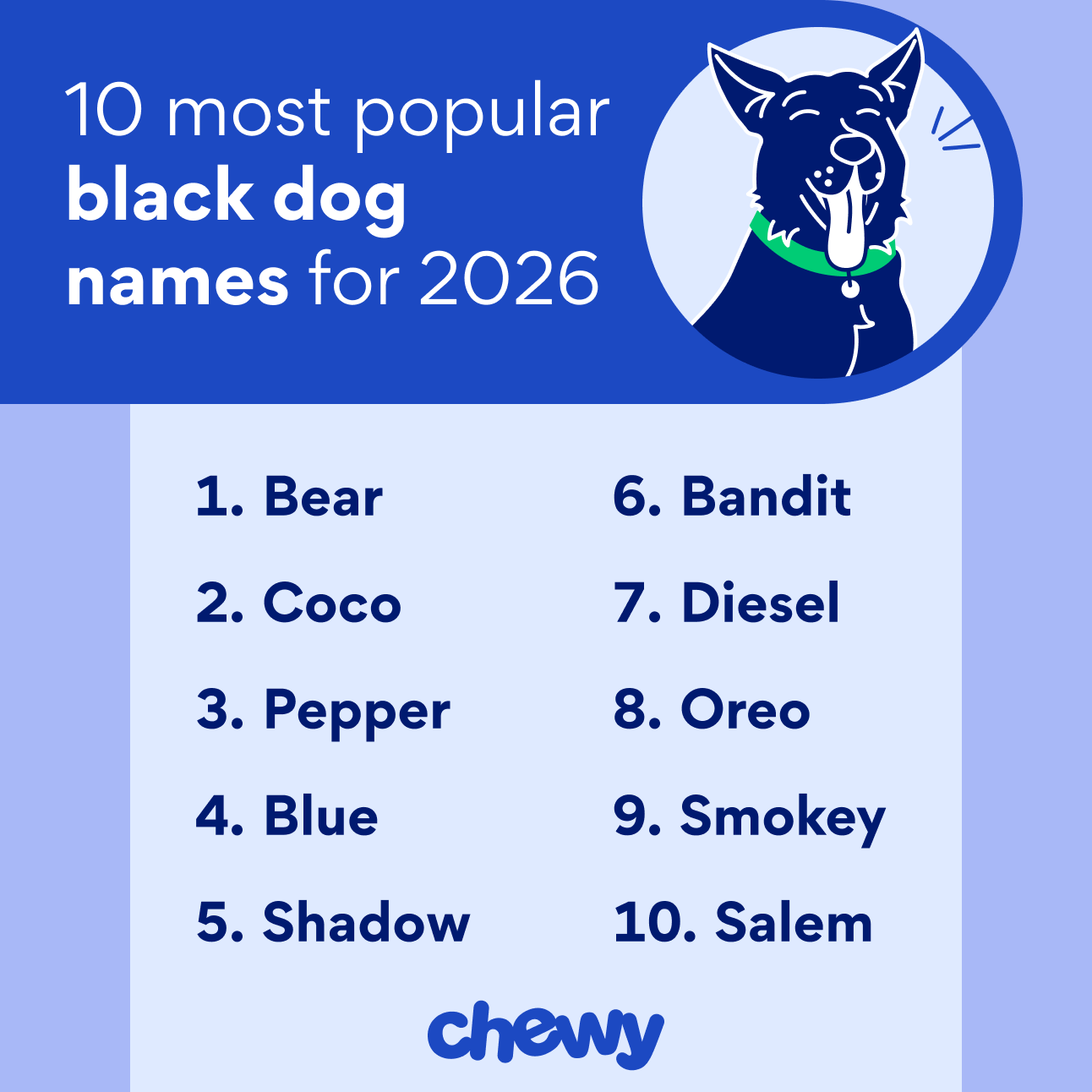 10 most popular black dog names for 2026: Bear, Coco, Pepper, Blue, Shadow, Bandit, Diesel, Oreo, Smokey, Salem