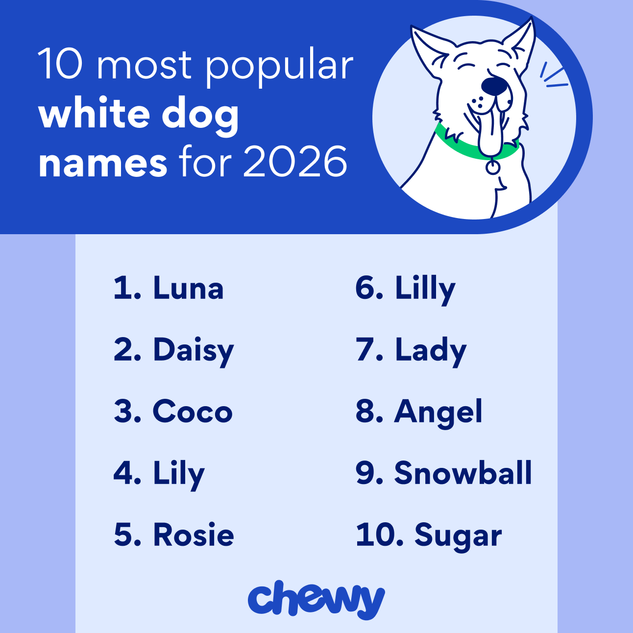 10 most popular white dog names for 2026: Luna, Daisy, Coco, Lily, Rosie, Lilly, Lady, Angel, Snowball, Sugar