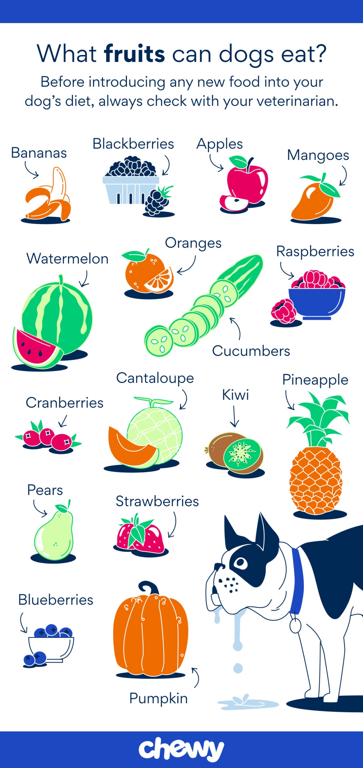 what fruits can dogs eat infographic chewy
