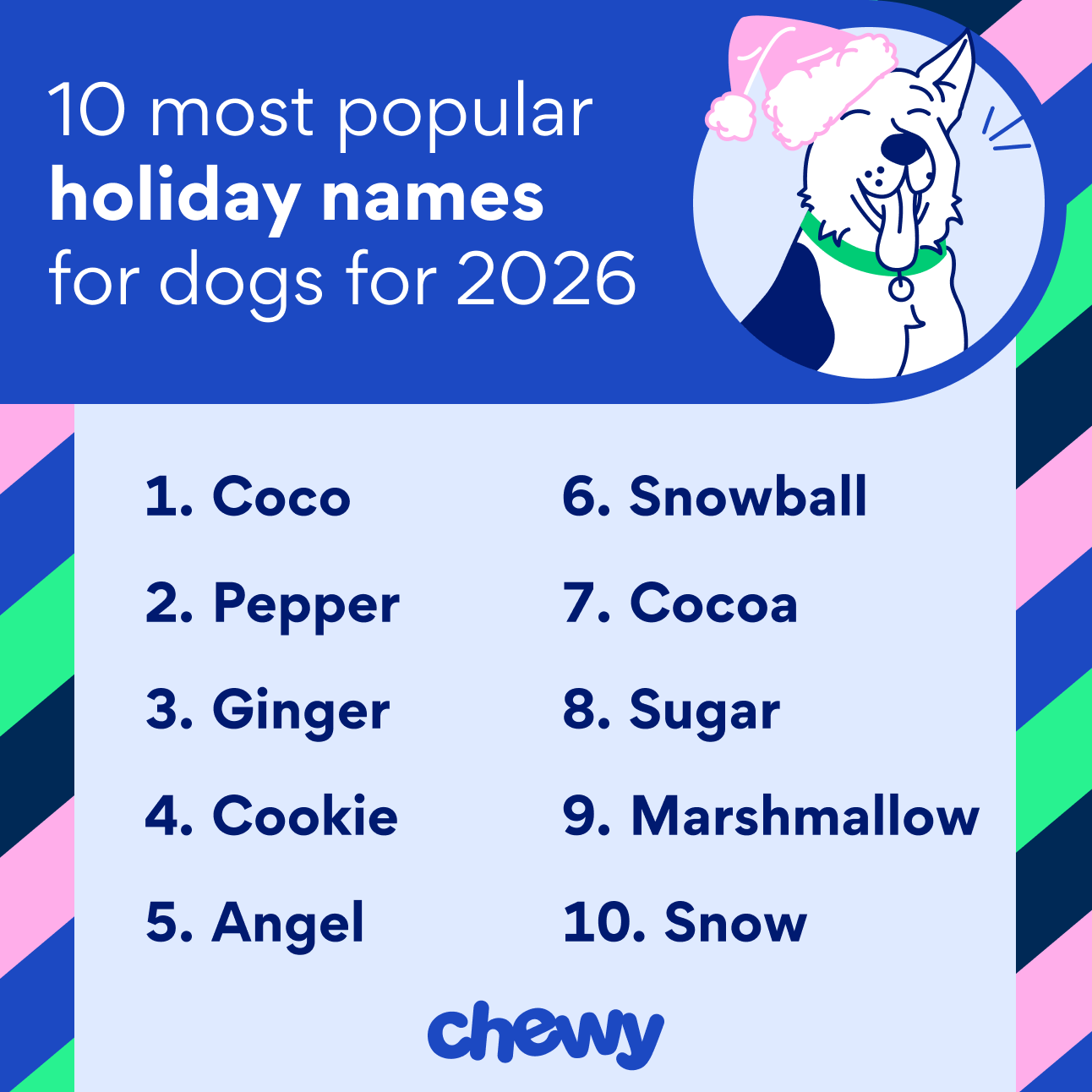 10 most popular holiday names for dogs for 2026: Coco, Pepper, Ginger, Cookie, Angel, Snowball, Cocoa, Sugar, Marshmallow, Snow