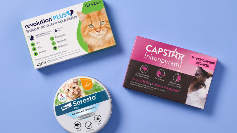 Flea and Tick Prevention