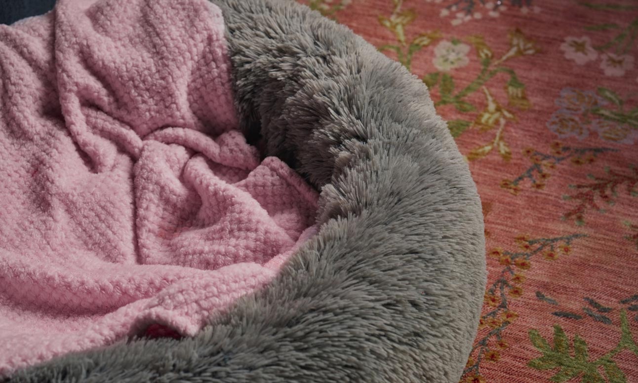 A cat's bedding, where you may find signs of fleas