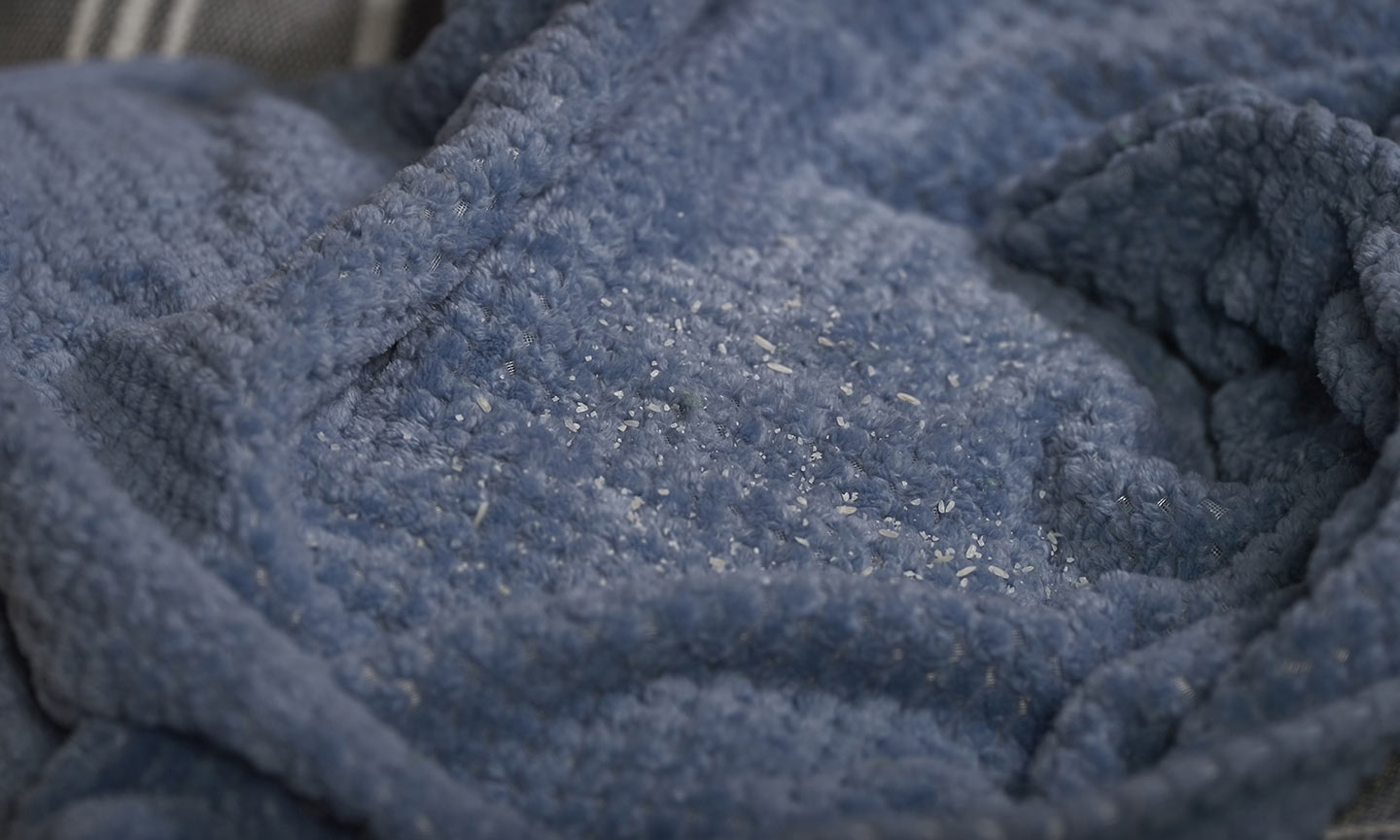 White specks on your dog's bedding or anus can indicate tapeworms, which are transmitted by fleas