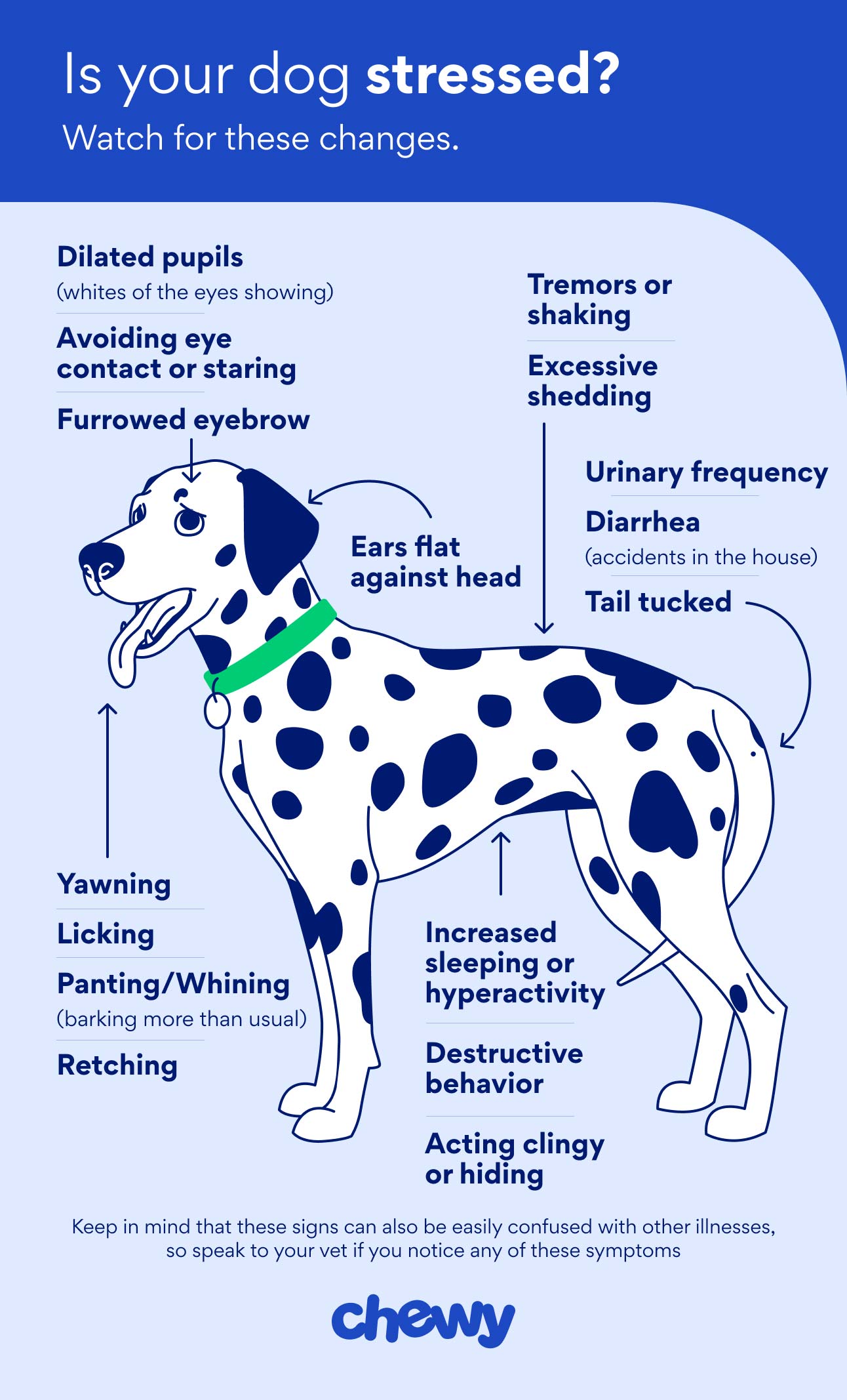 Infographic text: Is your dog stressed? Watch for these changes: Dilated pupils, avoiding eye contact or staring, furrowed eyebrow, tremors or shaking, excessive shedding, urinary frequency, diarrhea, tail tucked, yawning, licking, panting or whining, retching, increased sleeping or hyperactivity, destructive behavior, acting clingy or hiding