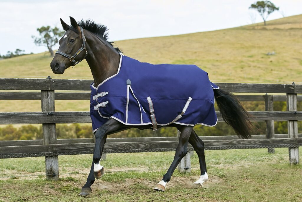 Horse wearing a blanket cantering outside