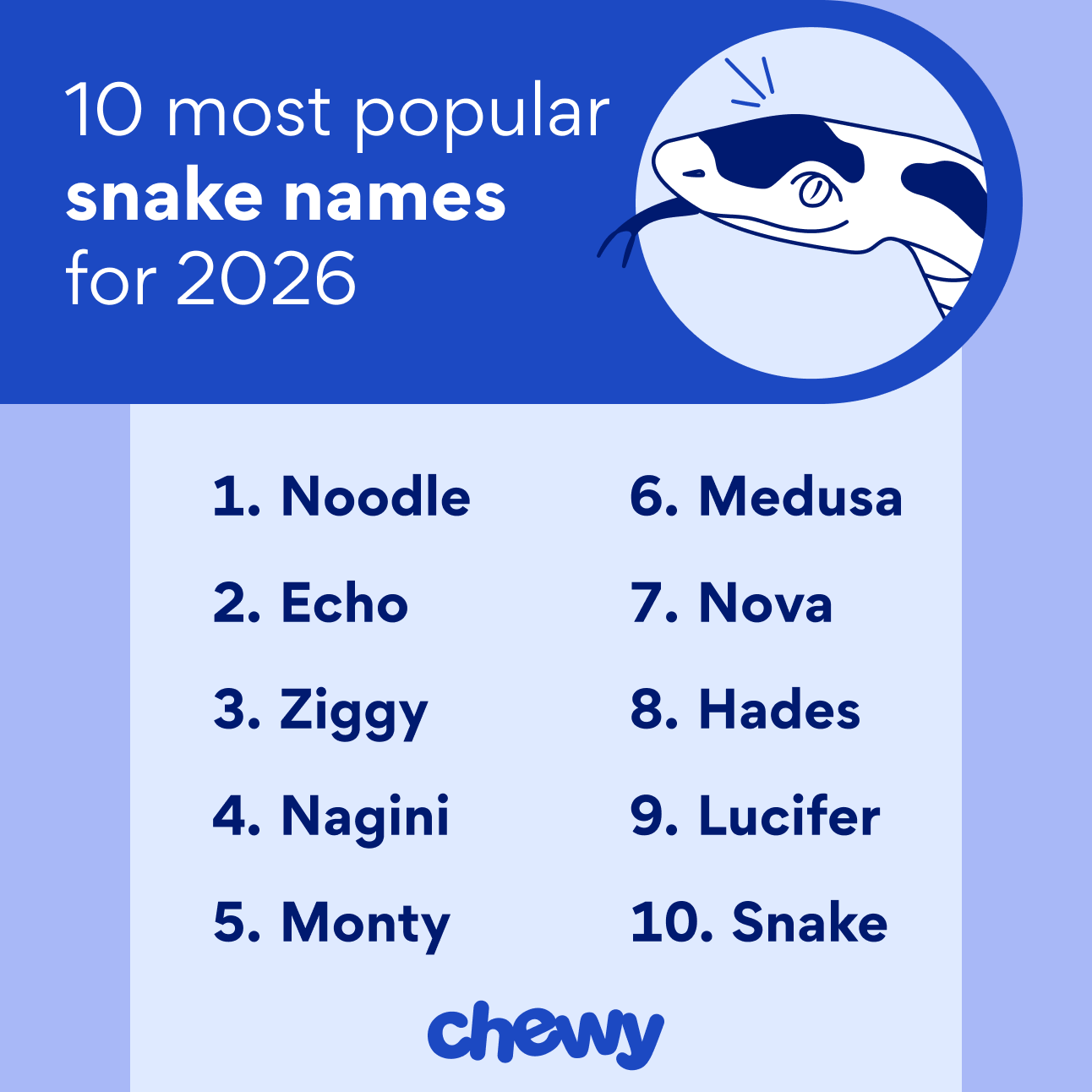 10 most popular snake names for 2026: Noodle Echo Ziggy Nagini Monty Medusa Nova Hades Lucifer Snake