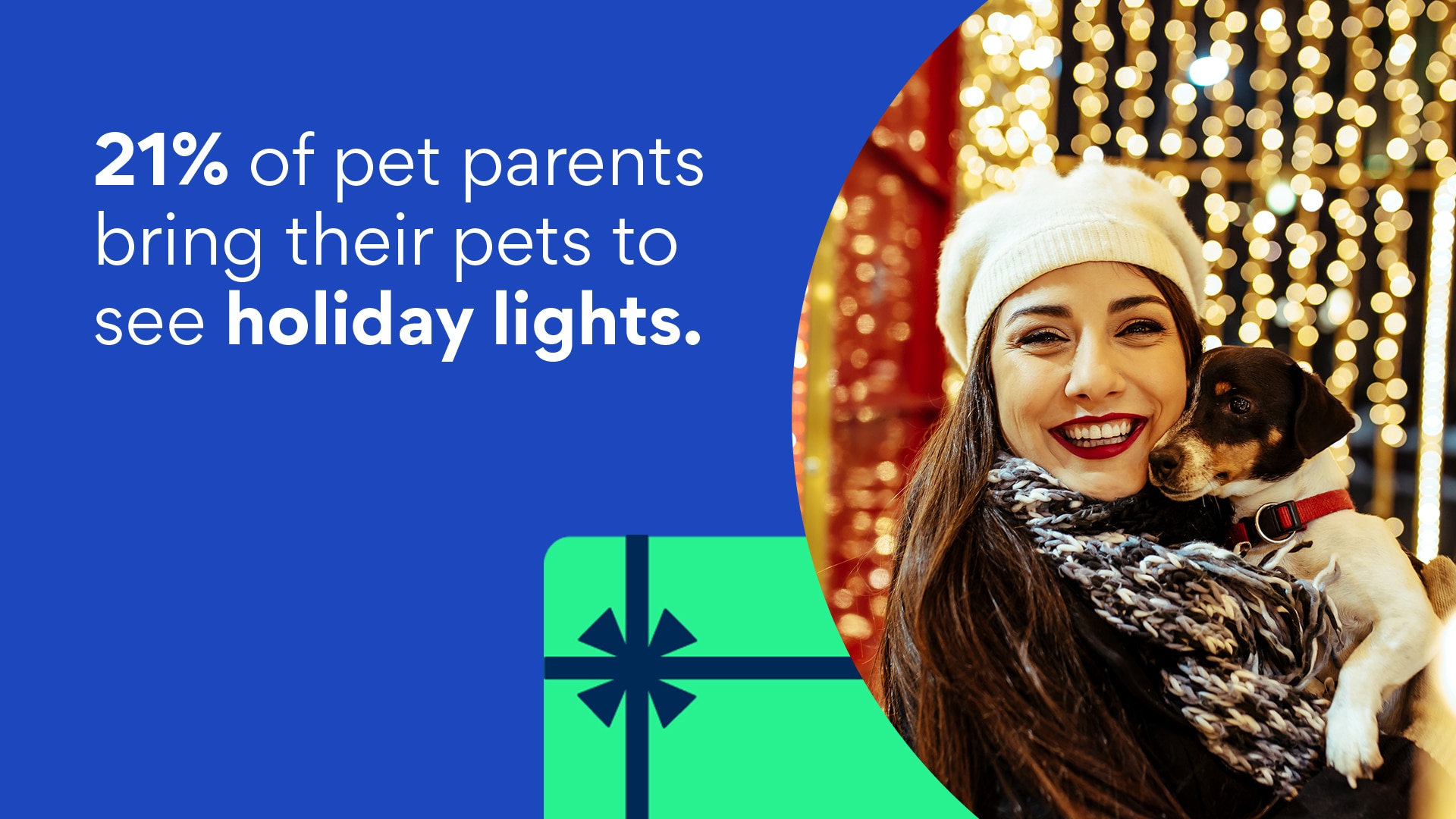 A woman and her dog at a holiday light show. Text: 21% of pet parents bring their pets to see holiday lights