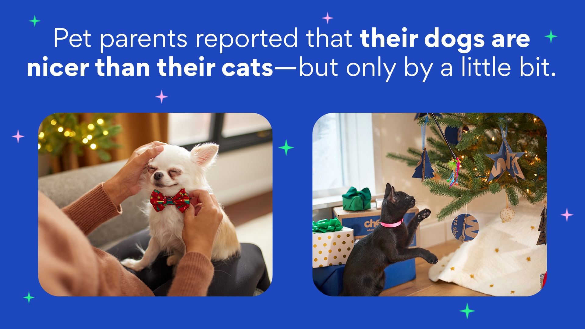 Two photos, one of a dog and a cat, both in holiday settings. Text: Pet parents reported that their dogs are nicer than their cats—but only by a little bit