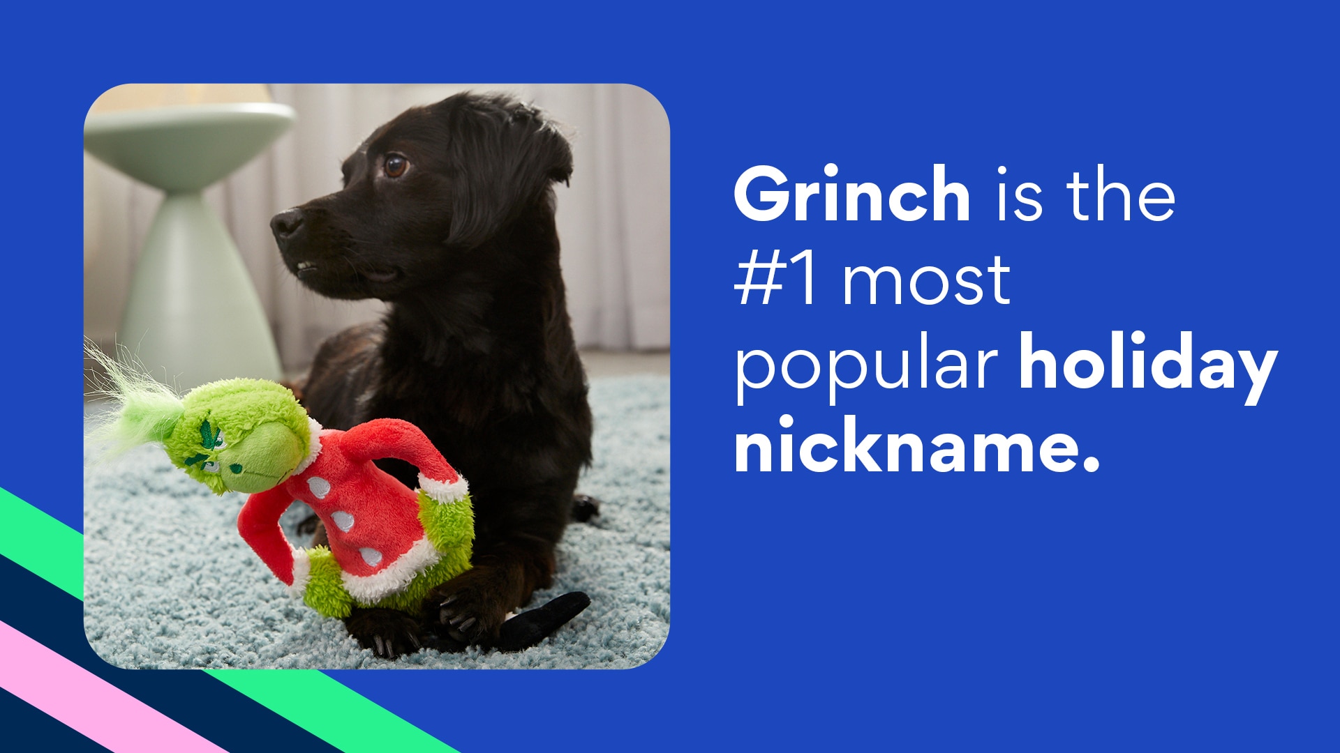 A dog with a grinch dog toy. Text: Grinch is the #1 most popular holiday nickname