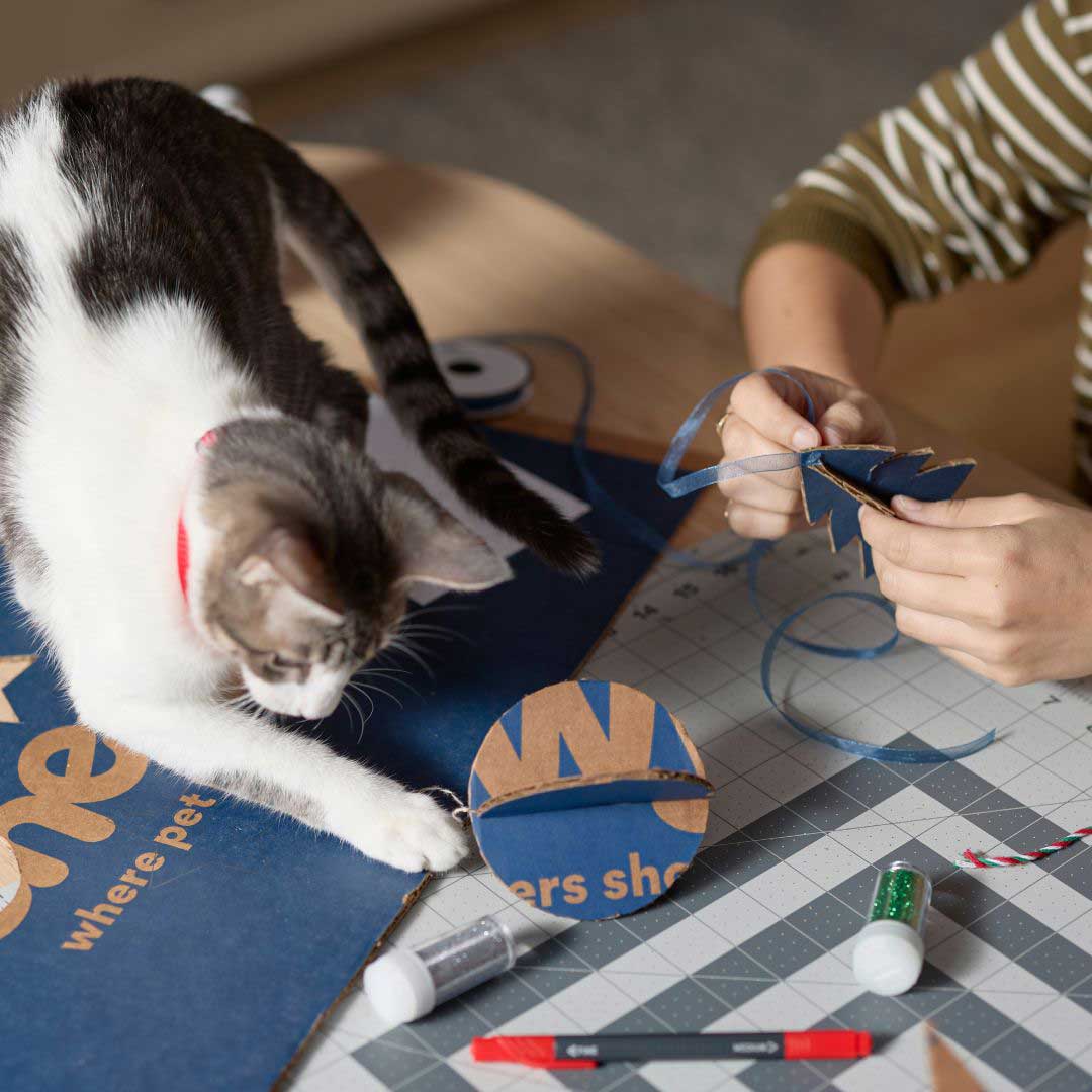 Photo of a cat batting at a DIY Christmas ornament while a person adds hangers to another ornament