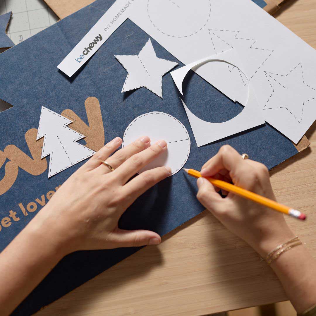 Photo of hands tracing DIY Christmas ornament shapes on a Chewy box