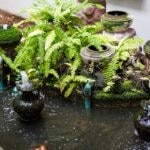 How To Aerate a Fish Pond