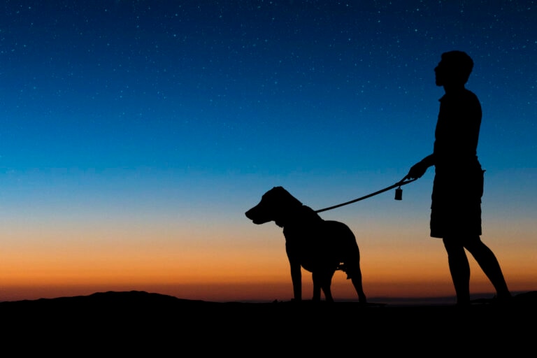 A man and his dog looking up at the stars at night, considering his dog's zodiac sign