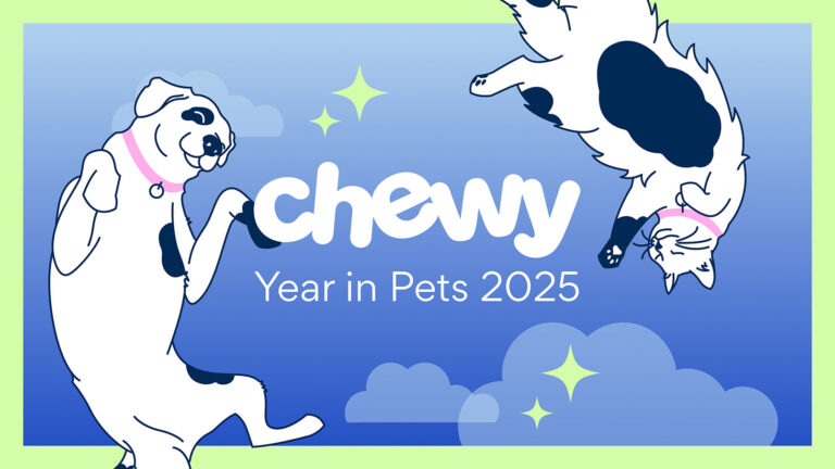 An illustrated dog and cat celebrating the past year. Text reads "Chewy Year in Pets 2025"
