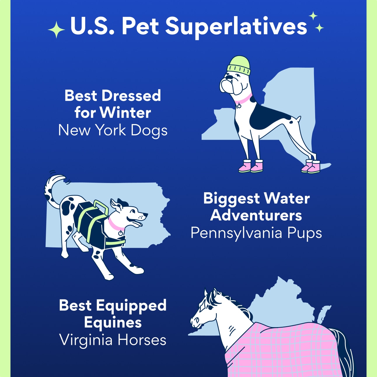 Illustrations of a dog wearing a winter hat and boots against a New York state backdrop; a dog wearing a water vest against a Pennsylvania backdrop; and a horse in a blanket against a Virginia state backdrop. Text reads, "U.S. Pet Superlatives: Best Dressed for Winter: New York Dogs. Biggest Water Adventurers: Pennsylvania Pups. Best Equipped Equines: Virginia Horses"