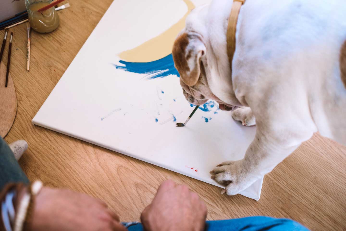 Photo of a dog painting with a paintbrush, one of the best things to do with your dog in 2025