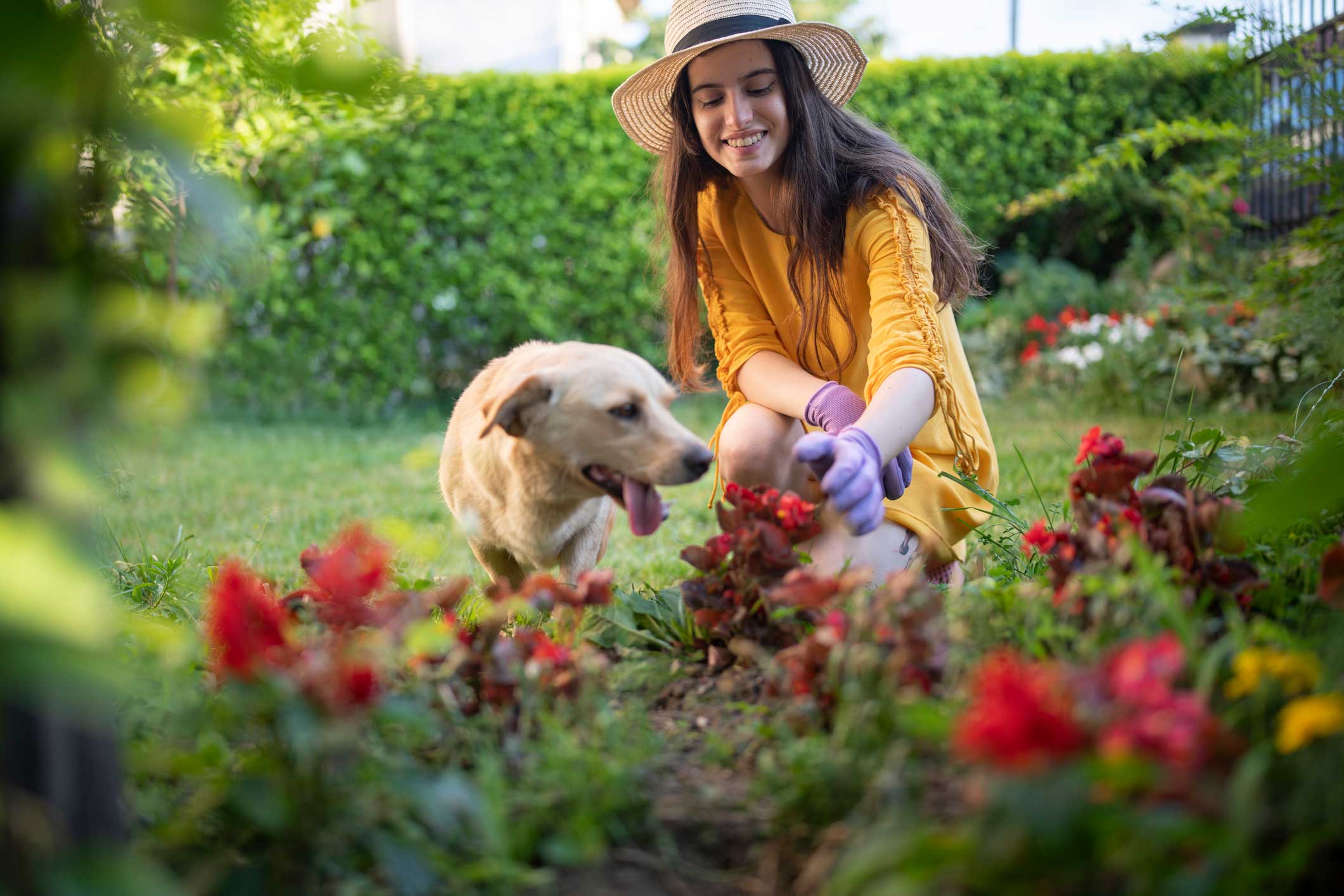 Photo of a woman gardening with her dog, one of the best things to do with your dog in 2025