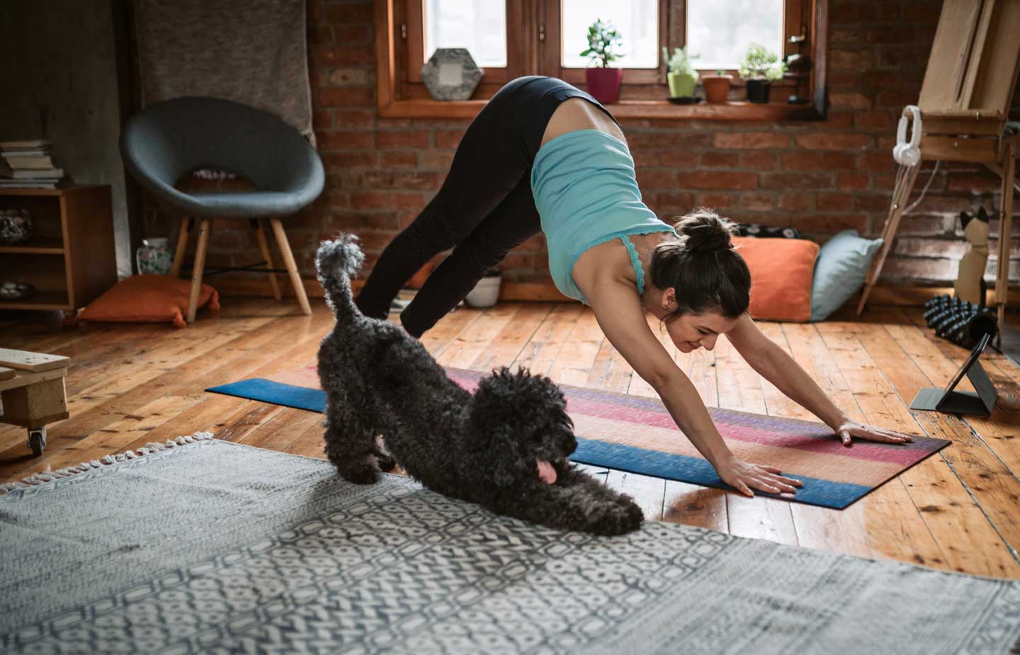 Photo of a woman and her dog practicing yoga, one of the best things to do with your dog in 2025