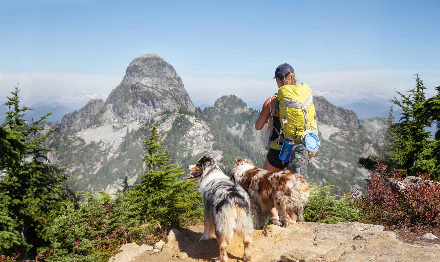 Photo of a woman hiking with two dogs