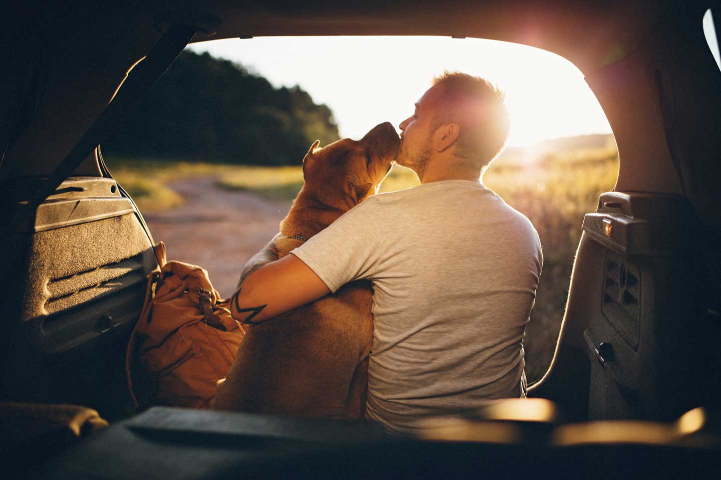 Photo of a man and his dog watching the sunset, one of the best things to do with your dog in 2025