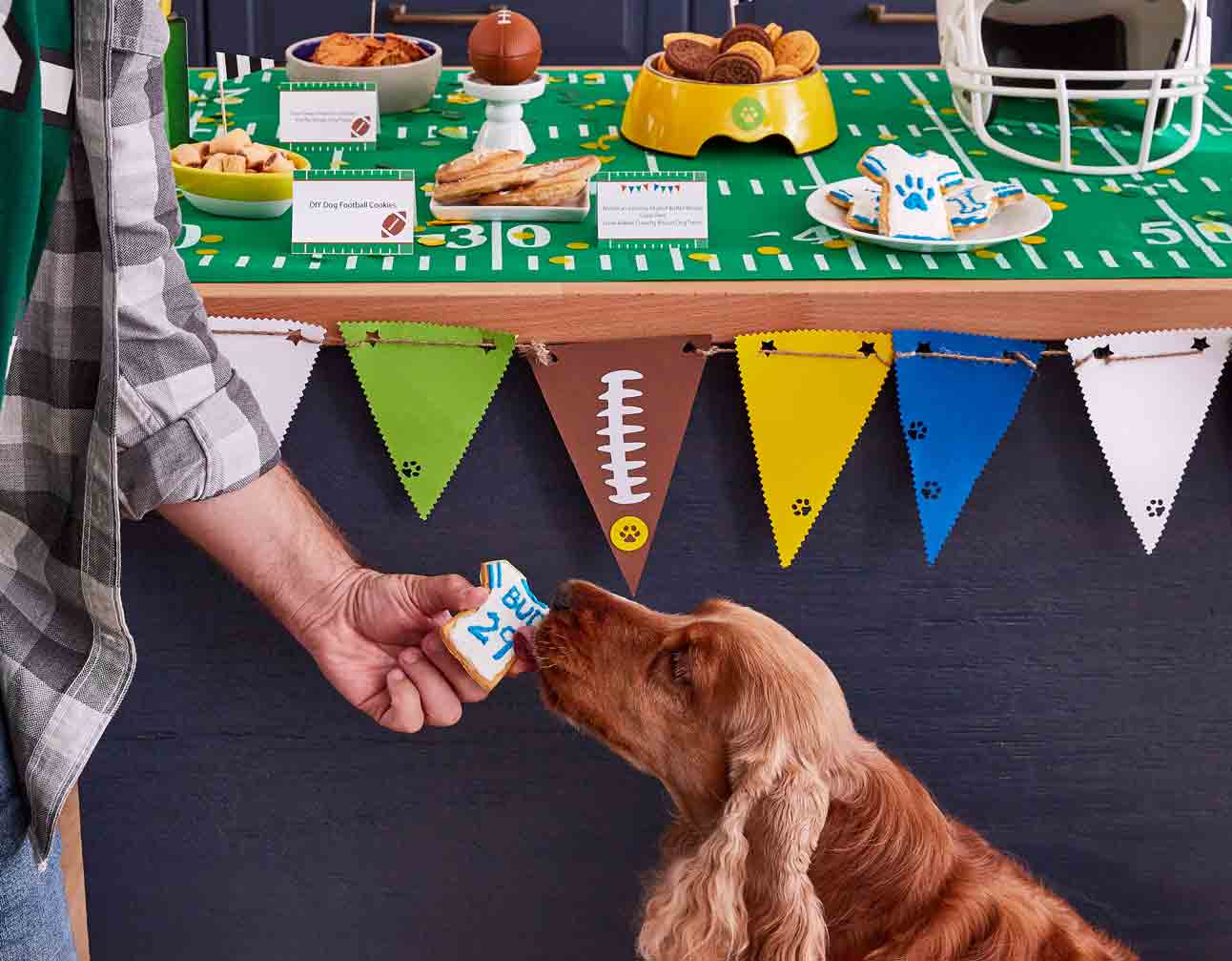 Photo of a dog licking a jersey-shaped dog treat at a football party