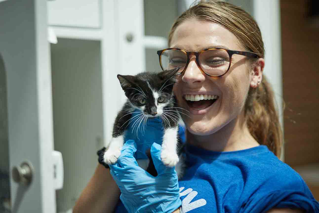 Photo of a smiling woman holding a kitten at an animal shelter