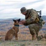 10 Dog War Movies About Military Canines